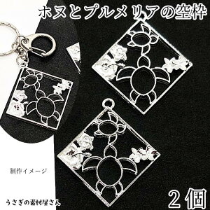 `[ zk  34mm 2 Vo[F XNGA `[ E~K vA nCrXJX CT Wg ANZT[p[c ̑fމ nhChp[c