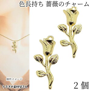 y{3{IőP6{Iz_ڊӃf[^t[ `[ o 32mm 2 KN 傫 [Y  p[c F ^t i nhCh p[c ̑fމ ANZT