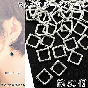 r[Yt[ XNGA H` 50 16mm AeB[NVo[F lp ʂ ANZT[p[c ̑fމ nhCh p[c fUCOt[