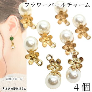 t[ p[`[ 19×10mm 4  `[ 5Ԃт vp[ t[`[ A t ANZT[p[c ̑fމ nhChp[c ԃp[c