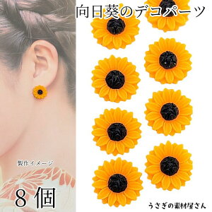 fRp[c Ђ܂ 16mm 8 IW  J{V t[   \t p[c  fR p[c ̑fމ ANZT[ p[c Tt[