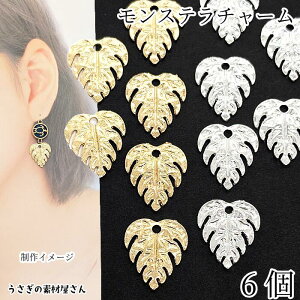 Xe `[ 20mm 6 S[hF Vo[F [t t p[c A ANZT[p[c nCA 썑  } nhChp[c ޗ ̑fމ