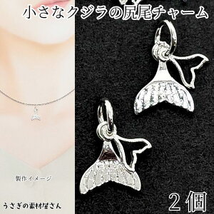 ySSő唼z2000~OFFN[|!!z} `[ NŴ 2TCY 2 Vo[F ߃eC`[ ۃJt т zG[e[ C̐ ̑fމ Ẵn