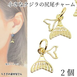 } `[ NŴ 10mm 2TCY 2 S[hF ߃eC`[ ۃJt т zG[e[ C̐ ̑fމ ẴnhChp[c