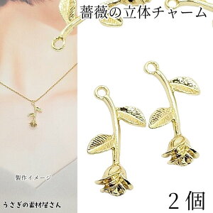 t[ `[ o 27mm 2 CgS[hF KN 傫 [Y ԃp[c nhCh p[c ̑fމ ANZT[p[c A