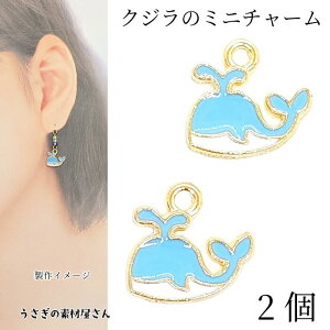 } `[ NW 10mm 2 XJCu[ F J[`[ } C̐ ANZT[p[c ̑fމ ẴnhChp[c