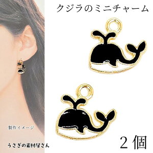 } `[ NW 10mm 2 ubN F J[`[ } C̐ ANZT[p[c ̑fމ ẴnhChp[c