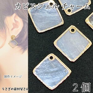 JsXVF `[ 25mm 2 Ђ` XNGA S[hbL XCXVF L } VFp[c VRf ẴnhChp[c ̑fމ ANZT[p[c