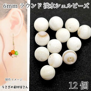 y撅IN[|zzIzyő2000~OFFzSSIVFr[Y 6mm 12 Eh AC{[ VFp[c }r[Y  Lr[Y WVF ANZT[p[c ̑fމ