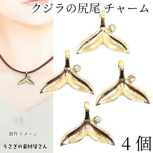 } `[ NŴ 21mm 4 Εt т zG[e[ Xg[`[ cJ C̐ ANZT[p[c ̑fމ ẴnhChp[c