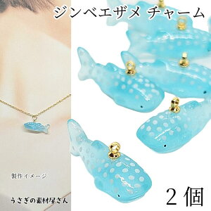 yXP{5{Iz{ő1,000~N[|I} `[ WxCU 10mm 2 VA ʖ͗l NW ~  C̐ ANZT[p[c ̑fމ Ẵn