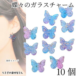 `[ o^tC 10mm 10 u[sNn Of[V KX  r[Y X ԍ ANZT[p[c ̑fމ nhCh p[c