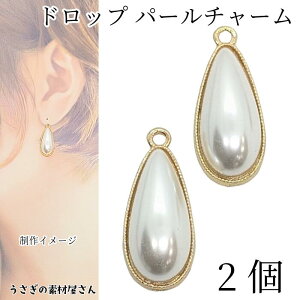 p[`[ hbv 22mm 2  S[hF  p[c  ܌^fUC cp[ nhChp[c ̑fމ ANZT[p[c