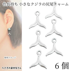 } `[  NŴ 8mm 6 Vo[F F ^t т zG[e[ C̐ ẴANZT[p[c ̑fމ