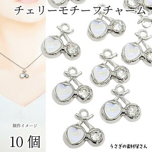 yXP{5{Iz{ő1,000~N[|I`[ `F[ n[g 10 14mm WEF TN{ Xg[`[ ANZT[p[c ̑fމ nhChp