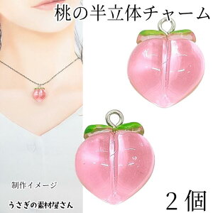 ySSy15ItI2000~OFFN[|!!z`[  17mm 2 sNF s[` ʕ  t[cp[c peach ̃p[c ẴnhChp[c ̑fމ ANZT[p