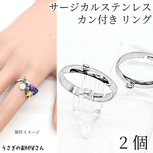 yő500~OFFz0̂N[|Iw O T[WJXeX Jt 20mm 2 WEF Vv ANZT[p[c ̑fމ w֋ O AM[