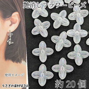 t[r[Y  ANr[Y 17mm 20 zCg ABJ[bL Vo[C ԃr[Y nhChp[c ̑fމ }bgr[Y