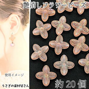 t[r[Y  ANr[Y 17mm 20 CgT[ ABJ[bL Vo[C ԃr[Y nhChp[c ̑fމ }bgr[Y