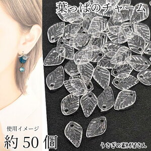 yő2000~OFFzubNtCf[It `[ [tr[Y 13.5mm 50 NA F A {^jJ ̑fމ nhChp[c d˂Ďg [t`[ 