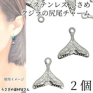 } `[  NŴ 9mm 2 XeXF 304XeX т zG[e[ C̐ ẴANZT[p[c ̑fމ