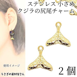 } `[  NŴ 9mm 2 S[hF 304XeX т zG[e[ C̐ ẴANZT[p[c ̑fމ