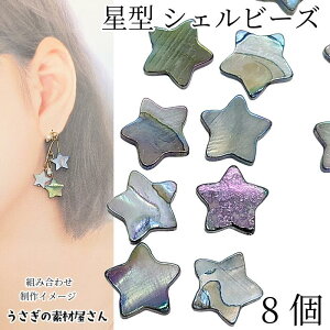 VF r[Y  13mm 8 O[n }`J[ ABJ[bL WVF Lk VRf ʂ }r[Y  ANZT[p[c ̑fމ nhChp[c