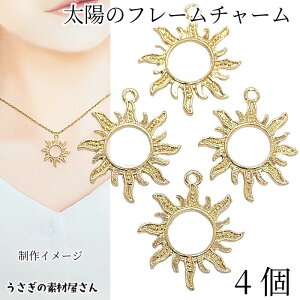 `[ z 24mm 4 S[hF Wg g  } t[`[ FG SUN ANZT[p[c ̑fމ ANZT[p[c