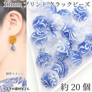 NbNr[Y 10mm 20 g a a Xv[vg ANr[Y u[  NbNr[Y nhCh p[c ̑fމ ANZT[p[c