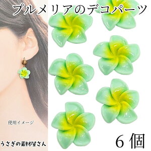 fRp[c vA 20mm 6 CgO[  t[ J{V  \tp[c nCA 썑  nhChp[c ̑fމ ANZT[ p[c