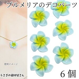 fRp[c vA 20mm 6 XJCu[  t[ J{V  \tp[c nCA 썑  nhChp[c ̑fމ ANZT[ p[c