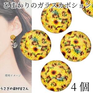 KXJ{V Ђ܂ 12mm 4   t[ vg KX ~ \tp[c fR p[c  nhChp[c ̑fމ ANZT[ p[c