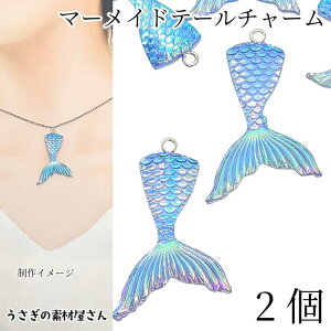 y撅IN[|zzIzyő2000~OFFzSSI} `[ }[Che[ 41mm 2 u[ l̂ C̐  }p[c ANZT[p[c ̑fމ