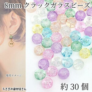 yő2000~OFFzubNtCf[IKXr[Y 8mm NbNr[Y  30 ~bNXJ[ ʂ pXeJ[ nhChp[c ̑fމ LL Jt 