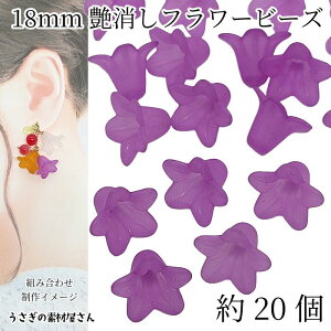 r[Y  p[c 18mm 20 p[v ҊF  t[r[Y }bgH KX nhChp[c ̑fމ t[p[c