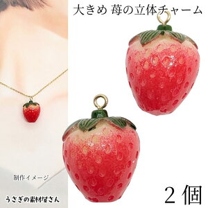 yő2000~OFFzubNtCf[IC`S `[ 24mm 2 傫 AN`[ A   nhChp[c ̑fމ ʕ t[c`[ Hו Xg