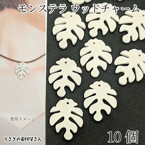 y撅IN[|zzIzyő2000~OFFzSSIEbh `[ Xe ؐp[c 30mm 10  AC{[n y_g ANZT[p[c ̑fމ  [