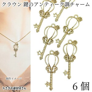  `[ g XeBbN `[ 38mm 6  `[t Wg ANZT[p[c ̑fމ g L[`[ AeB[N ~jNE