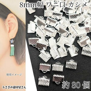 jJV 8mm 80 Vo[F ACA {~ Ghp[c ߋ b ANZT[p[c ̑fމ nhChp[c