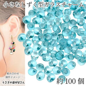 yXP{3{&500~ItN[|Iz{IKX`[ hbv 5mm×4mm 100 ~fBA^[RCYn ΐF  r[Y `[ NA   nhChp[c 