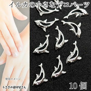 fRp[c CJ `[t ~jTCY 5mm 10 Vo[F C̐ lC ^p[c W \tp[c }  nhChp[c ̑fމ