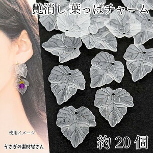 `[ t 24mm 20 [t zCg F  Ԃǂ̗t H A }bgH ANZT[p[c ̑fމ nhChp[c tς̃`[