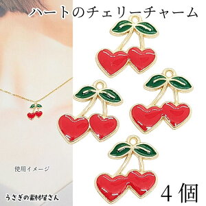 yő2000~OFFzubNtCf[I`[  `F[ n[g 4 17mm t[c`[ ʕ J[`[ ANZT[p[c ̑fމ TN{ ANZ