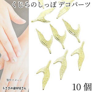 fRp[c NŴ ~jTCY 10mm 10 S[hF C̐ lC ^p[c W \tp[c }  nhChp[c ̑fމ