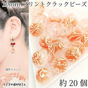 NbNr[Y 10mm 20 g a a Xv[vg ANr[Y IWF  NbNr[Y nhCh p[c ̑fމ ANZT[p[c
