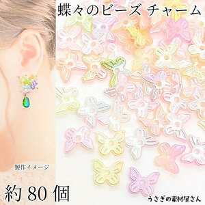 `[ o^tC 10mm 80 AJ[ Of[V p[ ~bNXJ[  Xr[Y ANZT[p[c ̑fމ nhChp[c vp[c