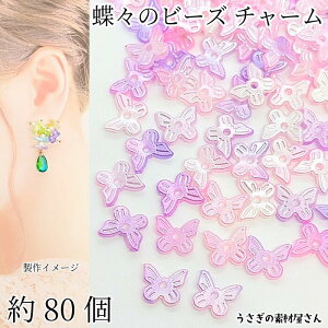 `[ o^tC 10mm 80 DJ[ Of[V p[ sN p[v ~bNXJ[  Xr[Y ANZT[p[c ̑fމ nhChp[c