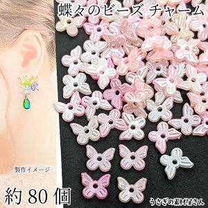 `[ o^tC 10mm 80 EJ[ Of[V p[ sN ~bNXJ[  Xr[Y ANZT[p[c ̑fމ nhChp[c