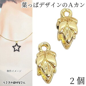 o`J t AJ 6.5mm 2 S[hF [tfUC VvxC p[c A y_ggbv  ANZT[p[c ̑fމ nhCh p[c