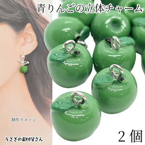 yő500~OFFz0̂N[|I`[ S 11mm 2 O[Abv  CO[ ̃p[c ʕ ь apple ANZT[p[c ̑fމ nhC